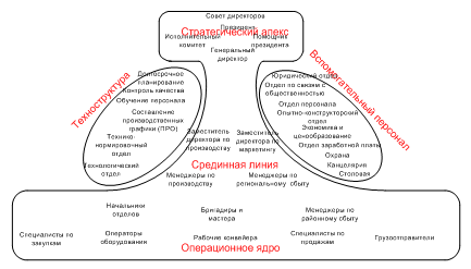 Структурные единицы организации